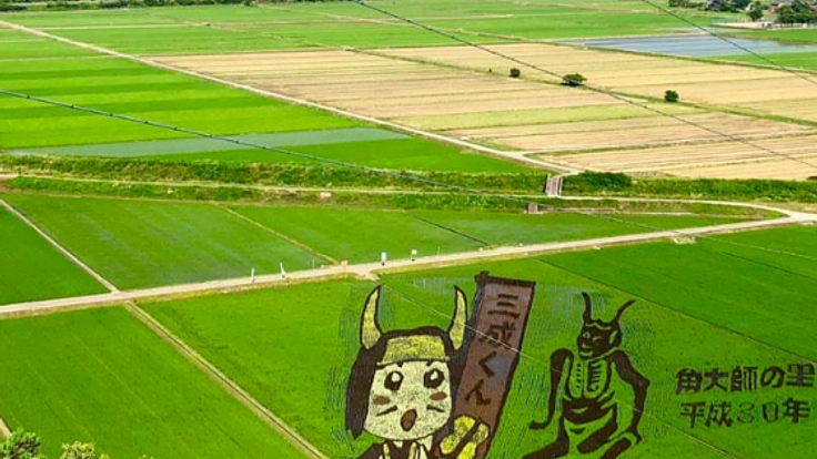 滋賀県長浜の文化を後世に！虎姫田んぼアートを映像で残したい！