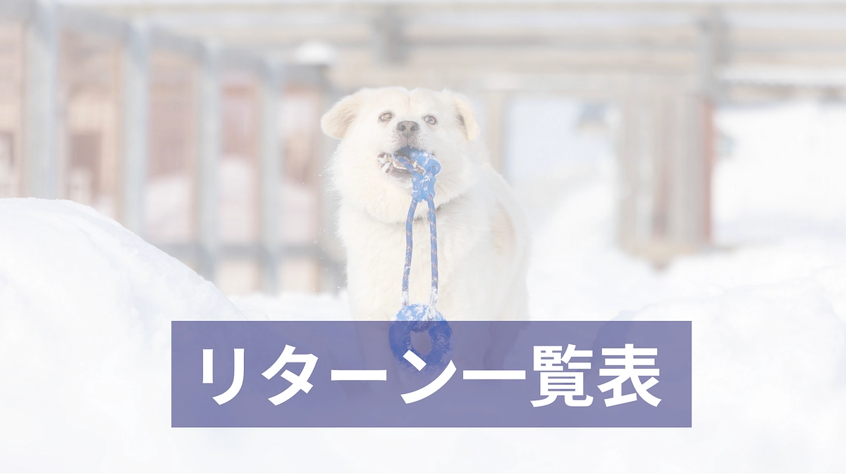 〜リターン一覧表〜
