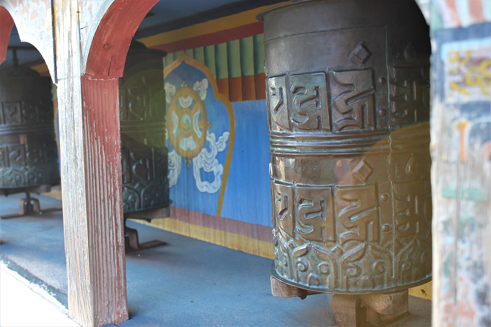 【御礼】目標金額の50％に到達しました