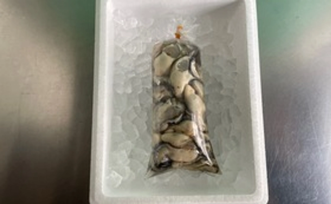 浜名湖かき（剥き身300g）又は浜名湖の海産物・感謝の手紙