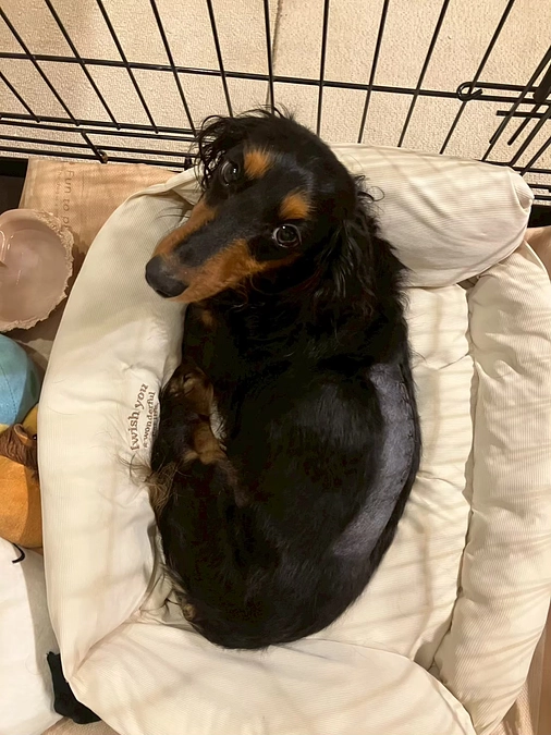 【クラウドファンディング開始のお知らせ】