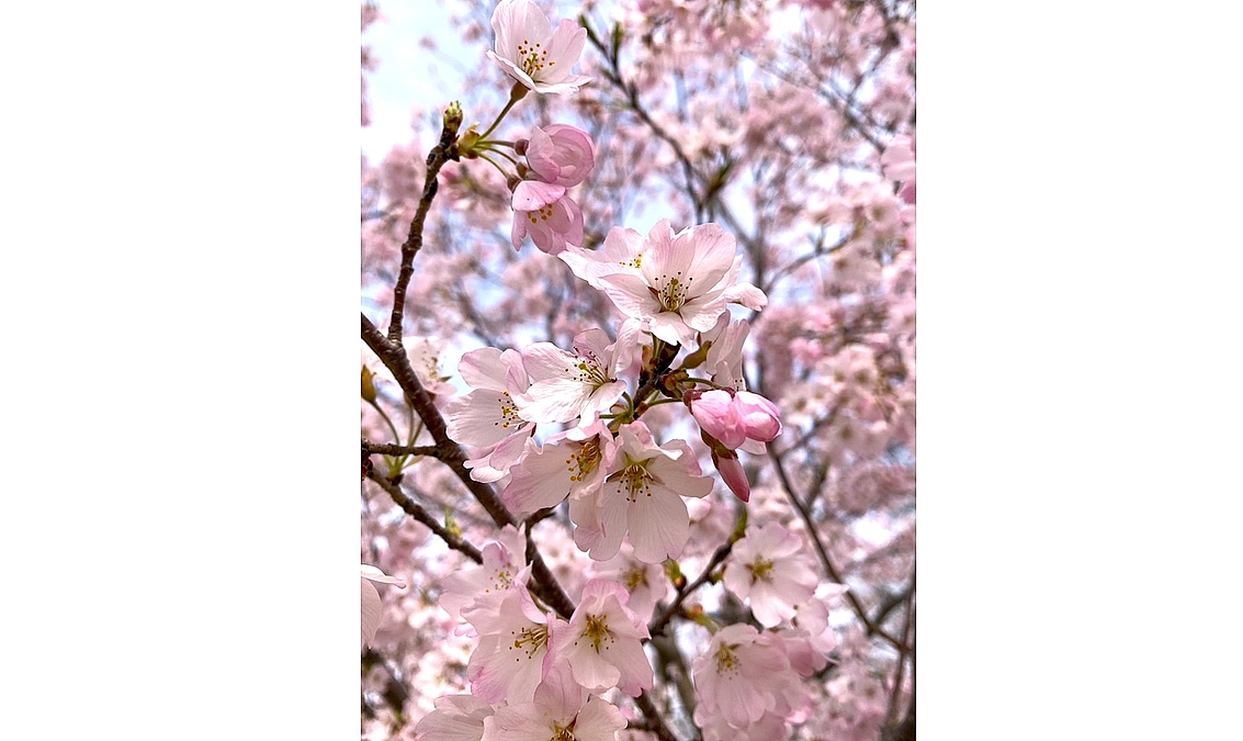 応援メッセージご紹介📣#33 | 伴走支援をした生徒の保護者 E様