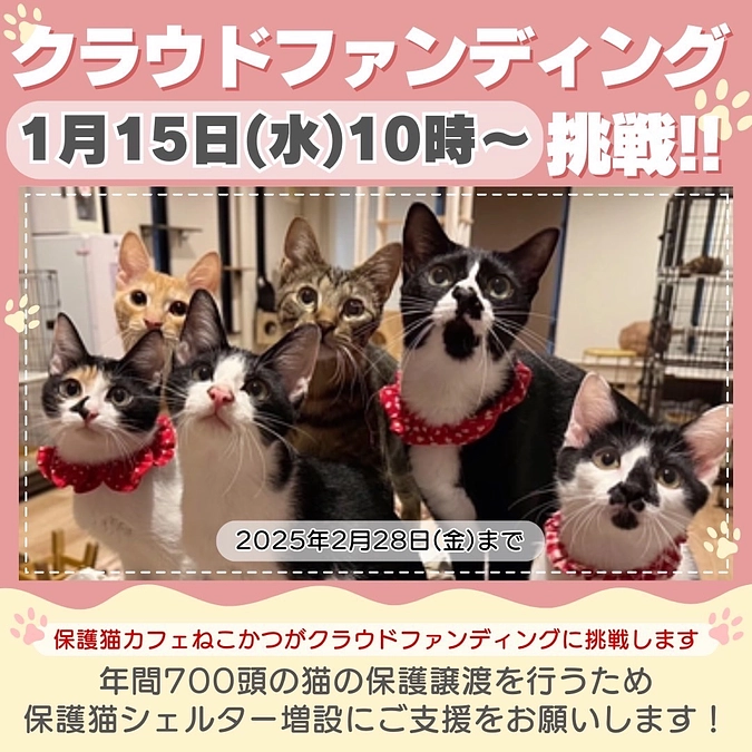 明日１月１５日１０時より、シェルター増設のためのクラウドファンディングに挑戦させていただきます。
