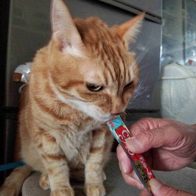 チャーと帰ってきました。