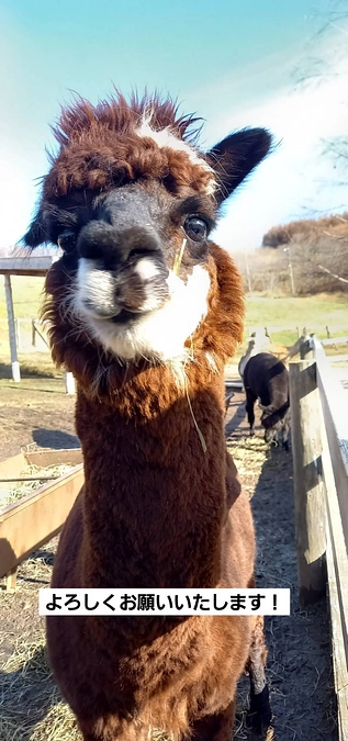 ハッシュタグ企画を開催！皆さまの想いと共にどうかご協力下さい