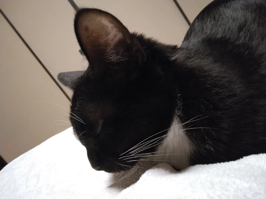 1/21はなちゃんの様子