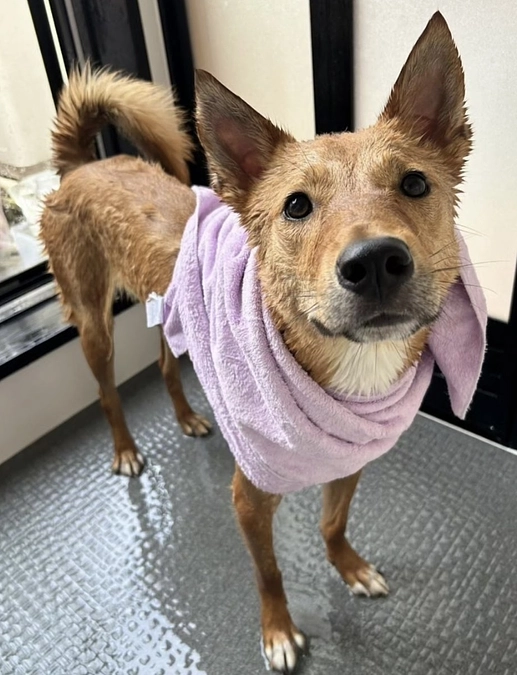 支援者数400人となりました。ありがとうございます。日々の健康ケア　お風呂やお手入れについて