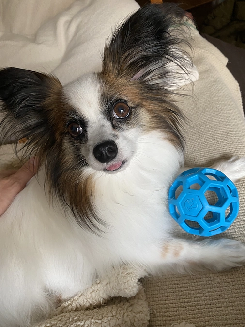 🆘残り4日　78%まで来る事ができました🆘