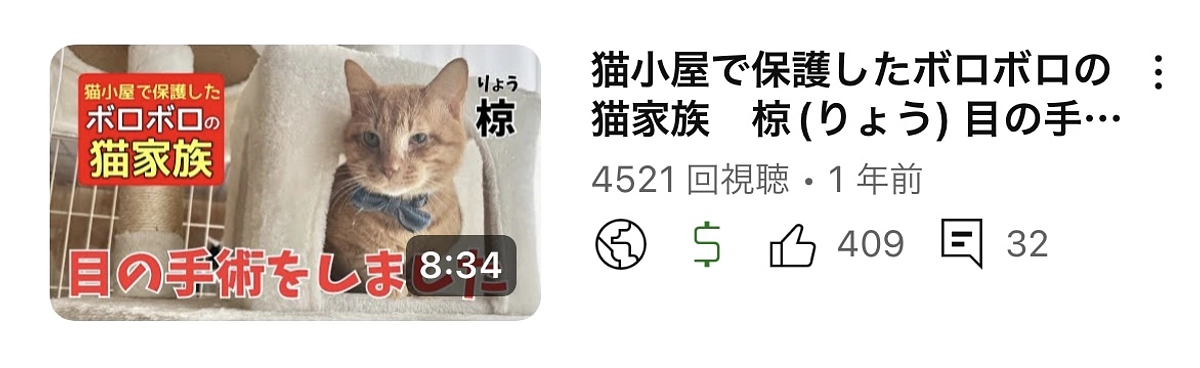 椋（りょう）ちゃん目の手術をしました