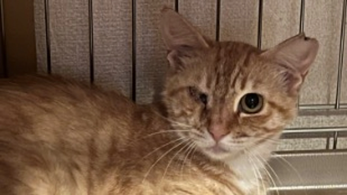 残り1日となりました