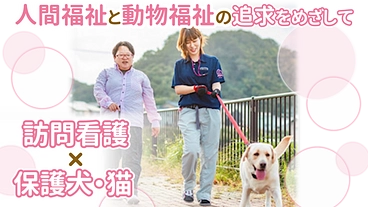 保護犬・保護猫とふれあえる訪問看護事業により地域の笑顔をつくります のトップ画像
