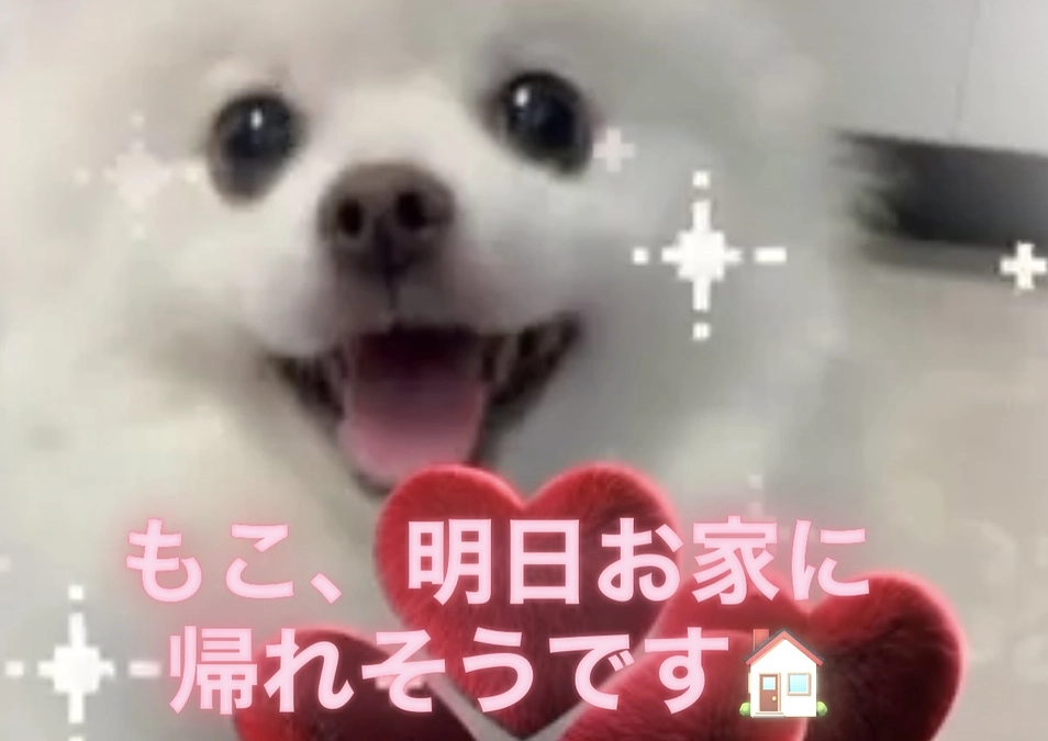 🥰明日、退院🥰