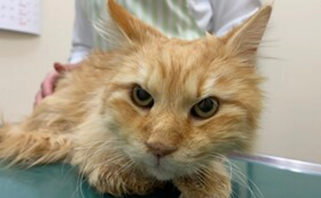 クルス Happy 3,000円コース