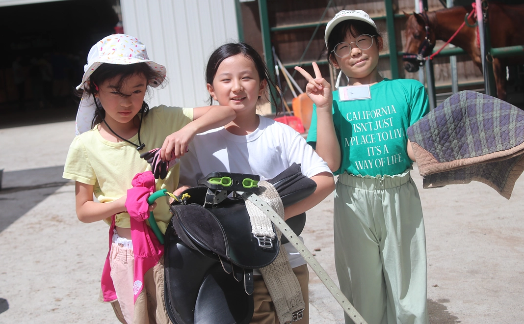 毎月3000円コース