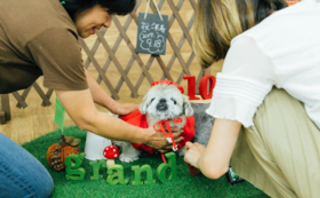 完成書籍、オリジナルしおり、ぐらんわん！10月号