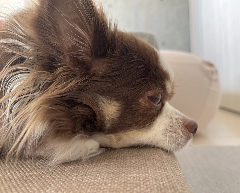 2023.12.28 不調が出てしまいました。