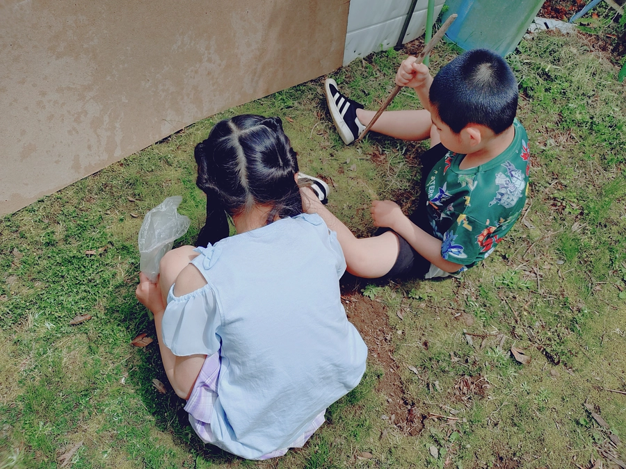 今日のこども達の様子です…ダンゴ虫探しに夢中😁