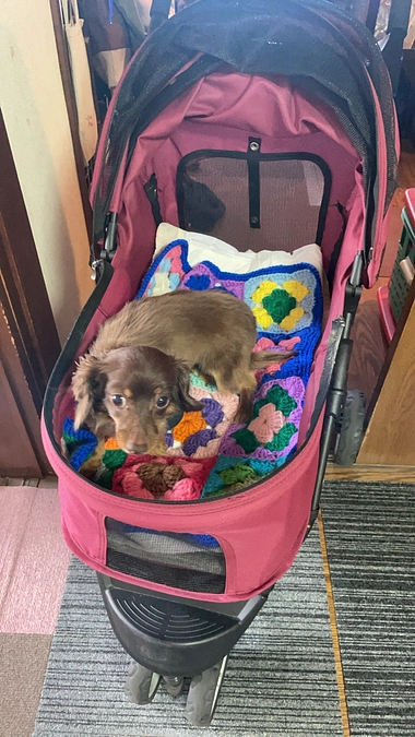 こんなに歩けるようになりました。