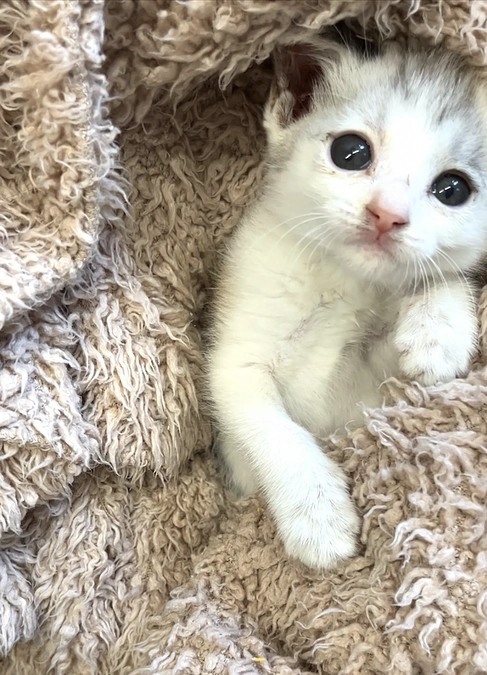 活動報告【８月】