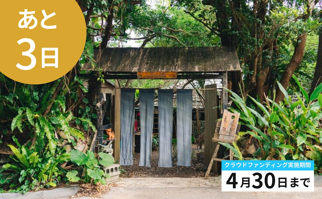 【残り3日】榮光さんのタンブラー5個追加＆るんさんとタエさんでFacebookライブをしました！