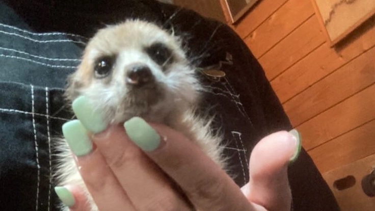 命の大切さを皆んなで学びたい！