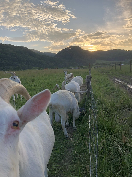 リターン商品発送遅延に関するご報告とお詫び