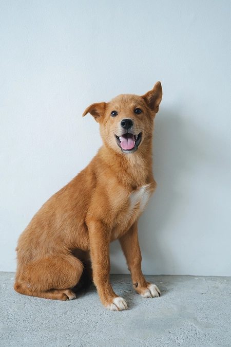 小さな命を救うために、私たちができること