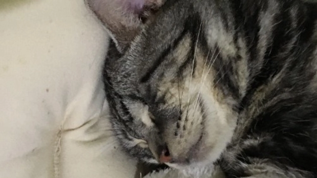 はじめまして。