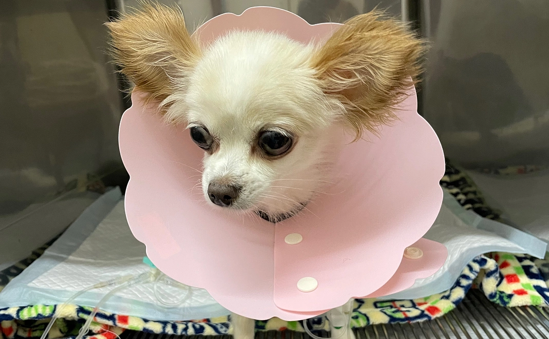 感謝メール 頑張ろうね★