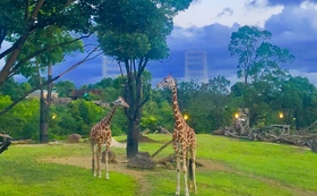 ズーラシアのワンダーをリアルに感じたい!いざないコース