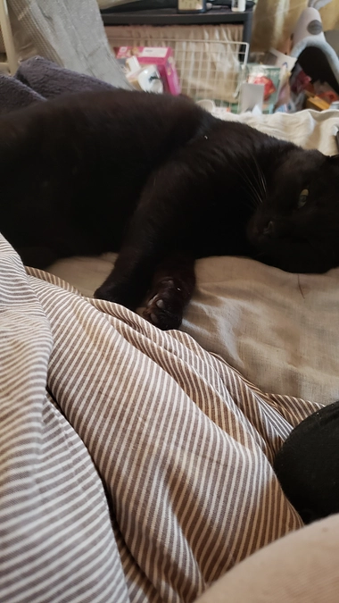 少し間があきました