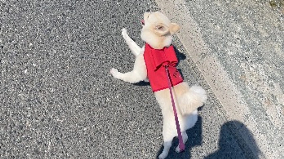 🆘🆘残り9日🆘🆘