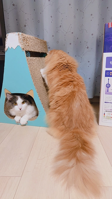 残り5日！！！！！