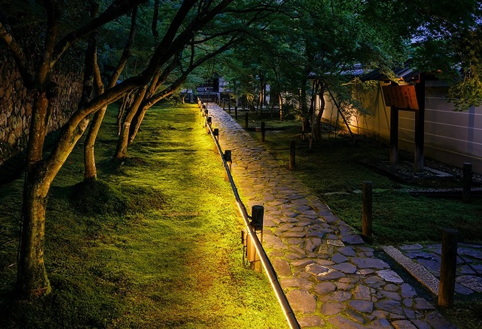 ファンディング、未来に投資する