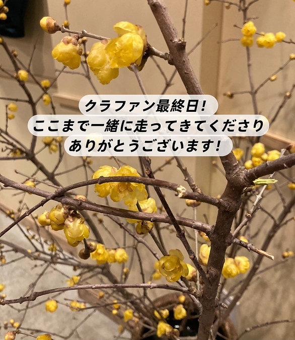 クラファン最終日！ここまで一緒に走ってきてくださりありがとうございます