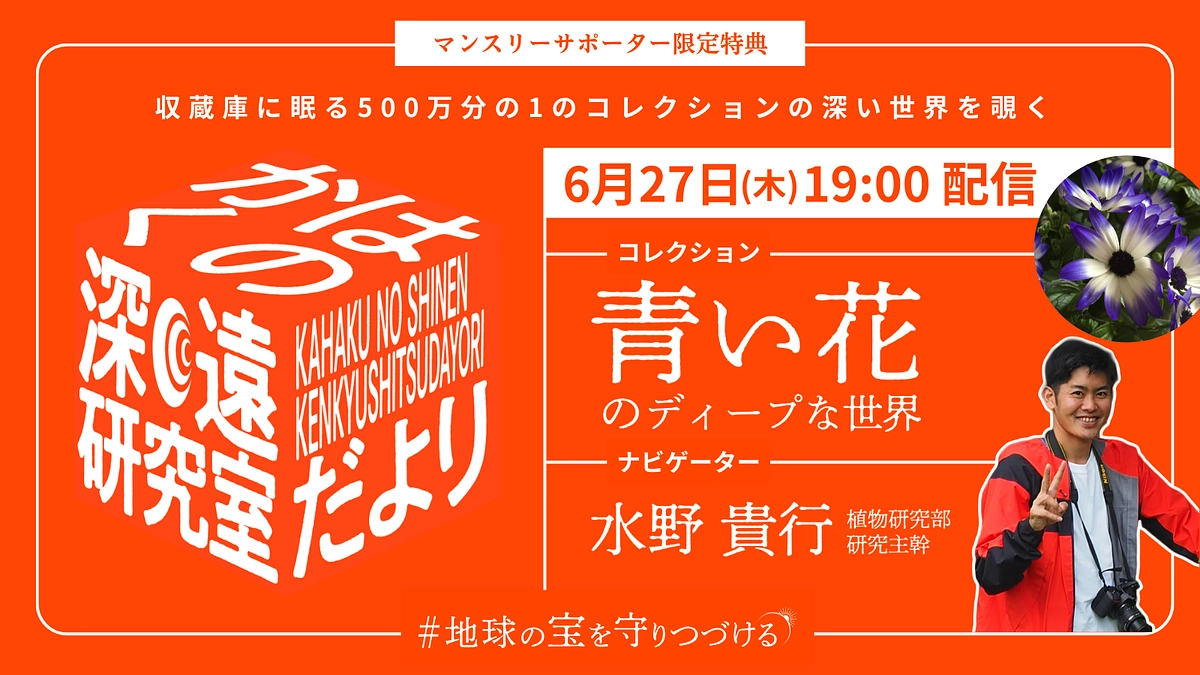 かはくの深遠研究室だより｜file.2 水野貴行先生が語る、青い花のディープな世界