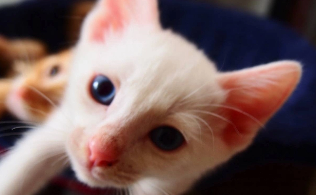 【リターン不要な方向け】3,000円応援コース