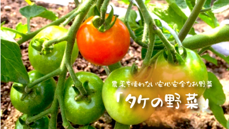 農薬を使わない野菜を栽培して、安心できる食材をご提供したい！