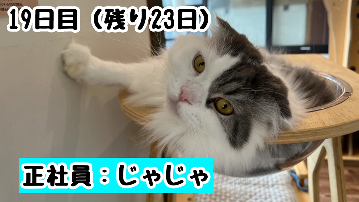 大切な命を守るために─じゃじゃの闘病からの学び編。