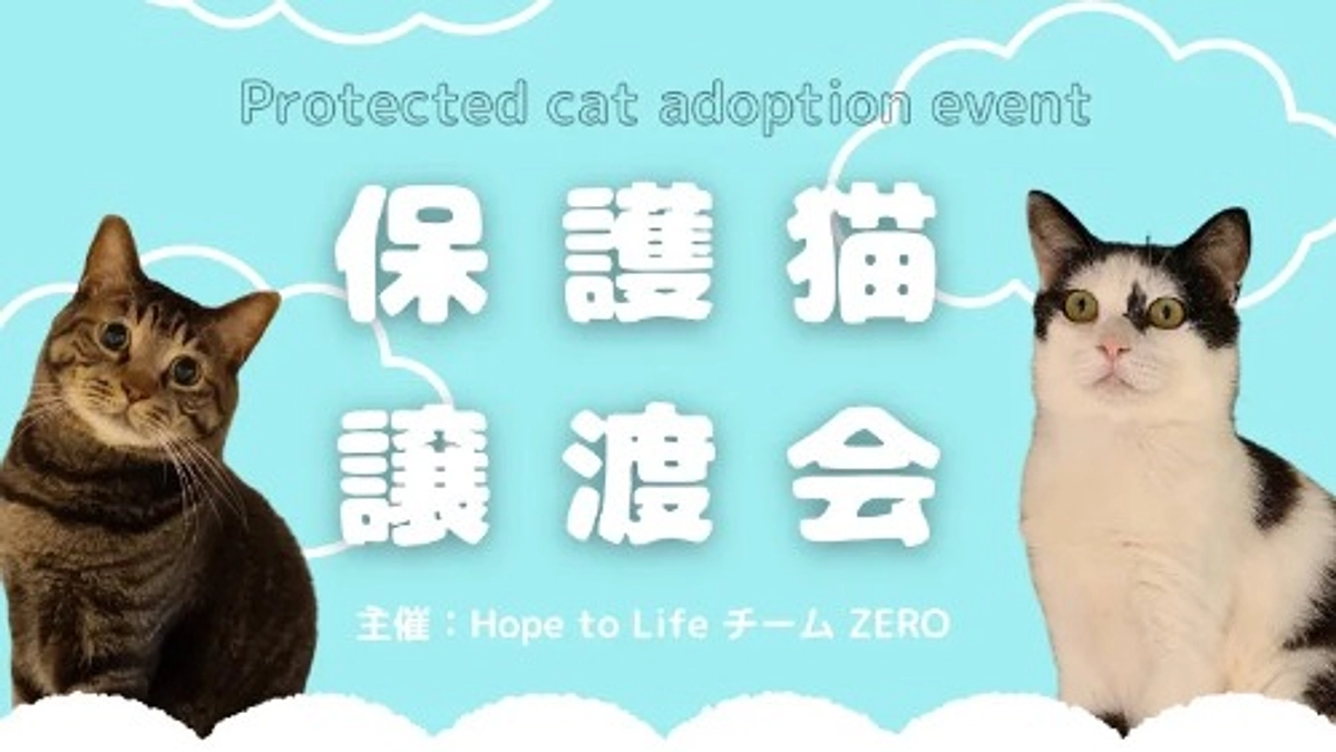 【残り6日です⭐️】テレビの力と、5月の譲渡会のお知らせ 📺