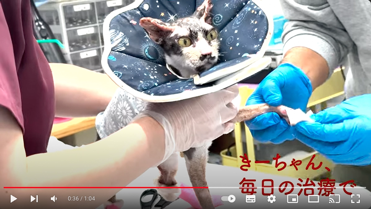 【たんぽぽの里の動画紹介】応援いただいている南久松さんに作っていただきました