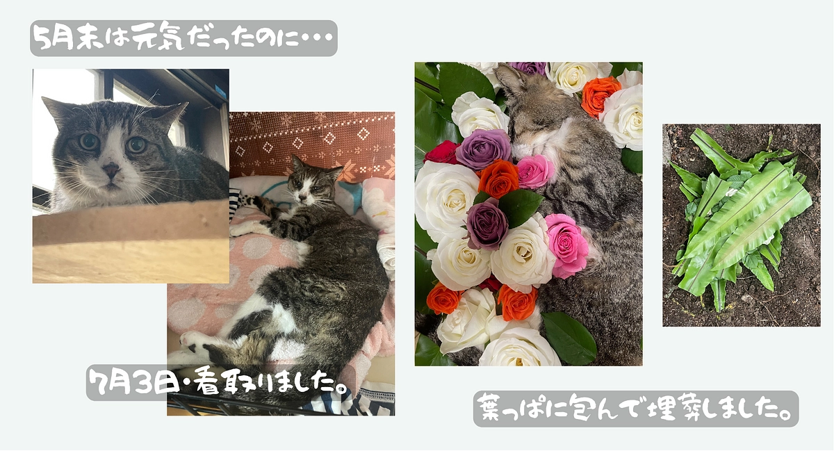 リターン商品発送完了のお知らせと近況報告です。