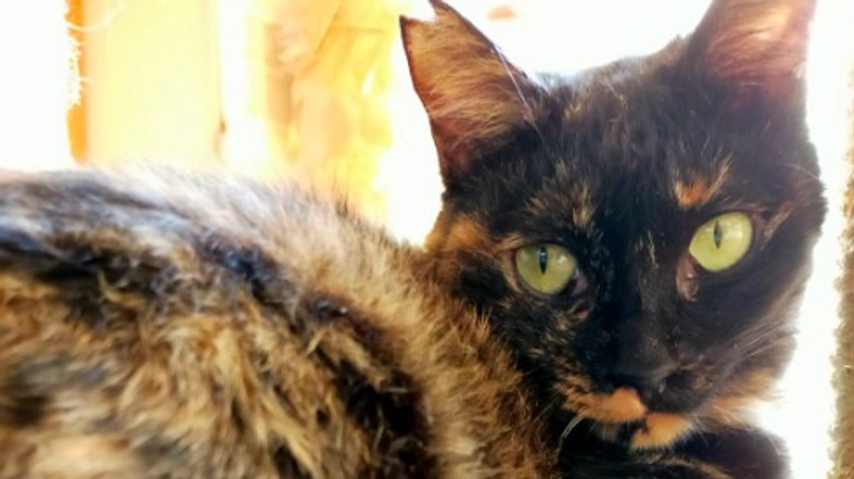 代表とメンバーと皆様と最後まで走り抜けたい