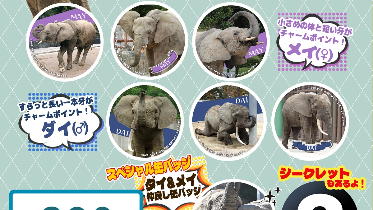 がんばれメイちゃん!　マルミミゾウ缶バッチガチャの販売をはじめました