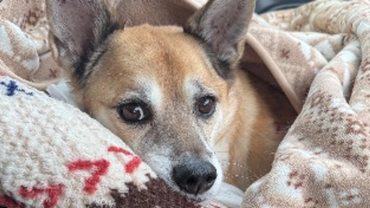 残り4時間半となりました😭