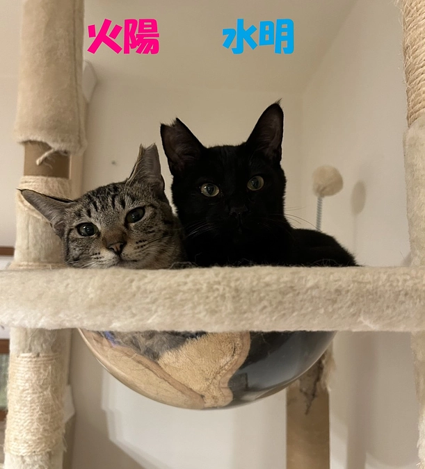 特徴的な2024年　あとわずかとなりました！