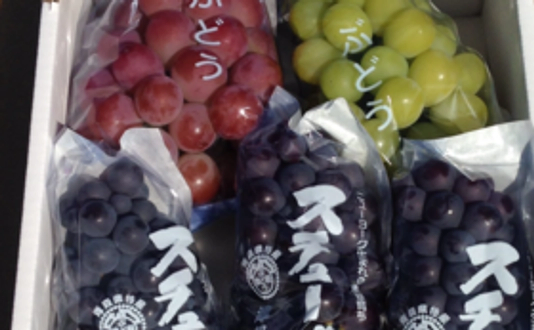 スチューベンワインとぶどうコース