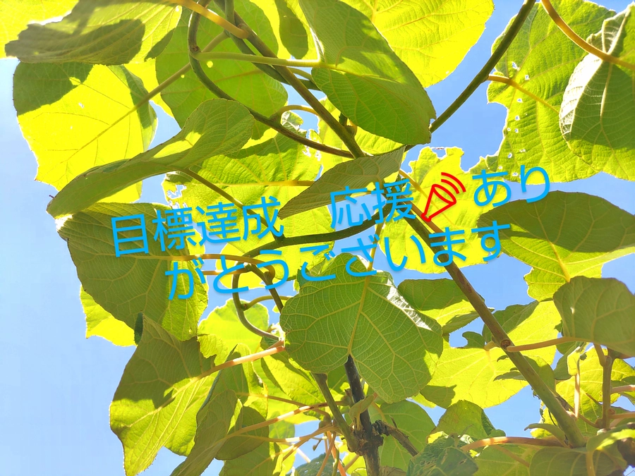 ありがとうございます！