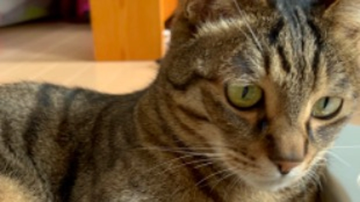 【今日のなっちゃん】5月24日