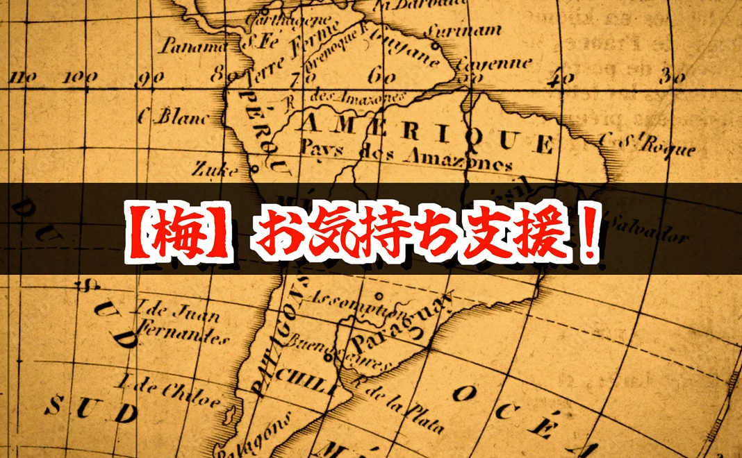 【梅】お気持ち支援!